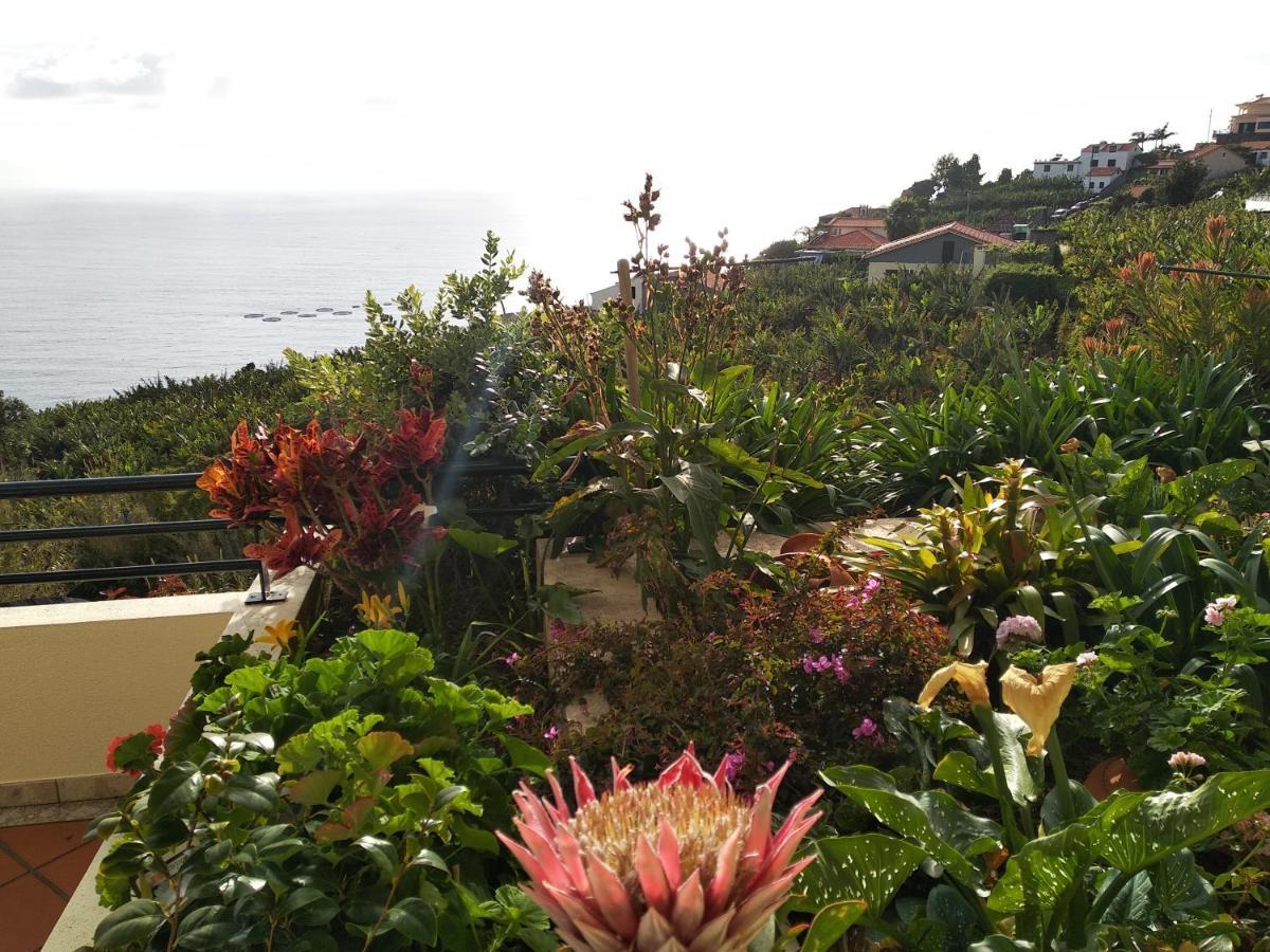 Jardim Do Arco "Esmee" Leilighet Arco da Calheta  Eksteriør bilde