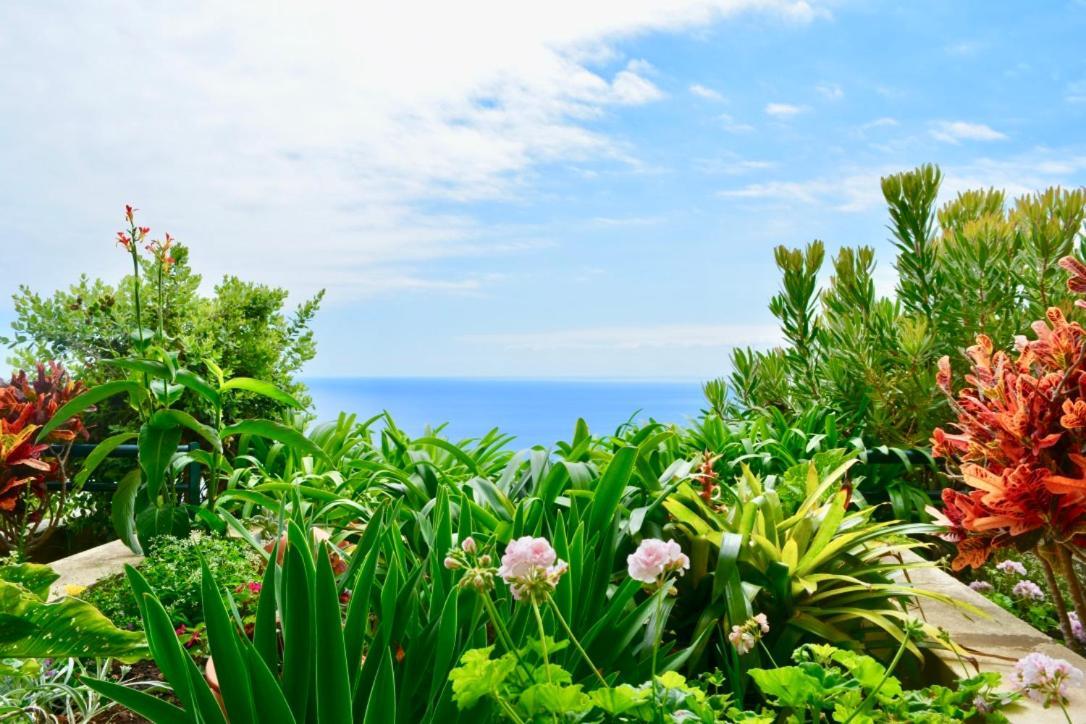 Jardim Do Arco "Esmee" Leilighet Arco da Calheta  Eksteriør bilde